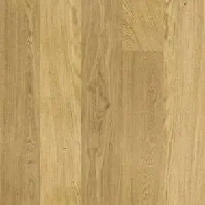 rovere20120strip20ambientazione39.jpg