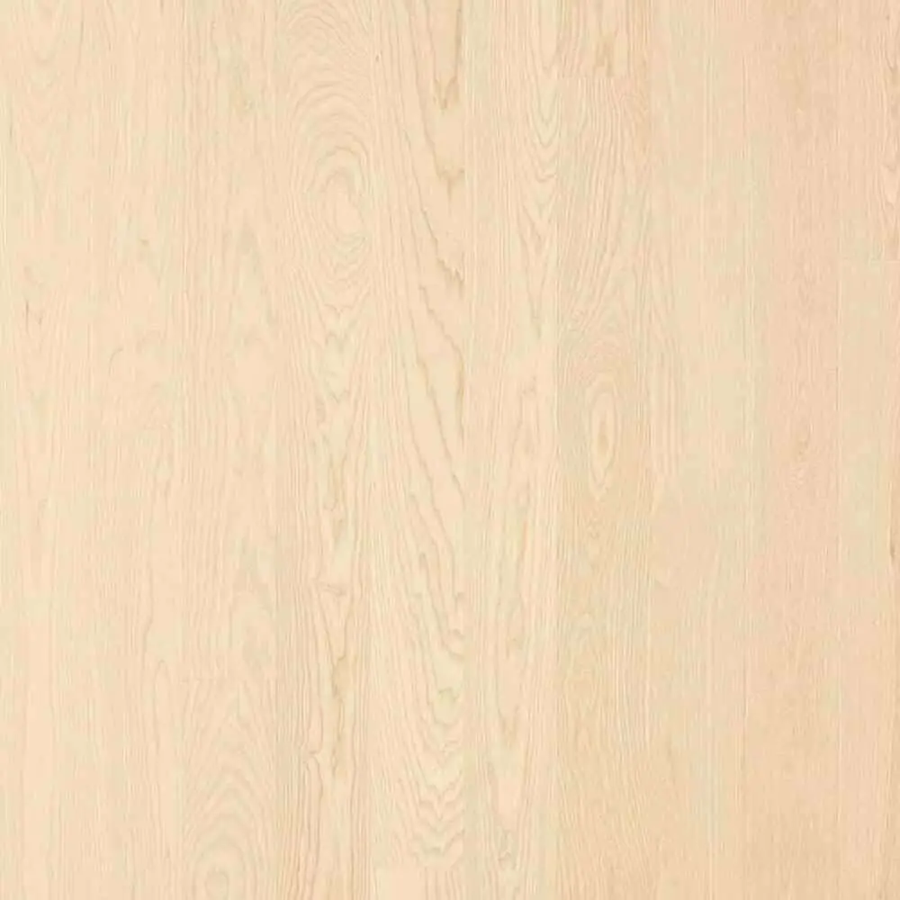 frassino20120strip20satin20lacquer.jpg